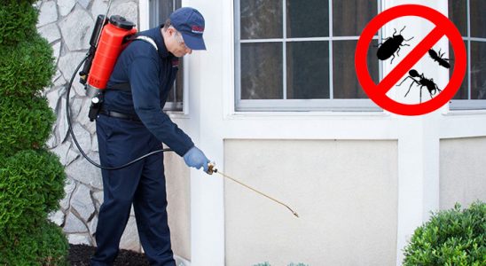 Göle Bit İlaçlama böcek ilaçlama ve haşere kontrolü — ilaclama-tr.com